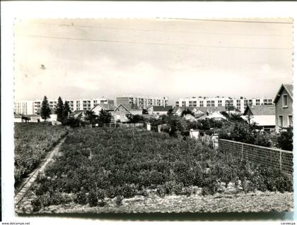 CP - CHEVILLY LARUE       (94)  RUE PETIT LEROY