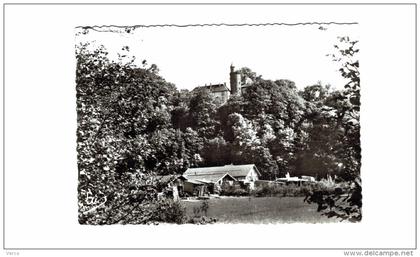 Carte Postale Ancienne de CIREY SUR VEZOUZE-Château de Chatillon