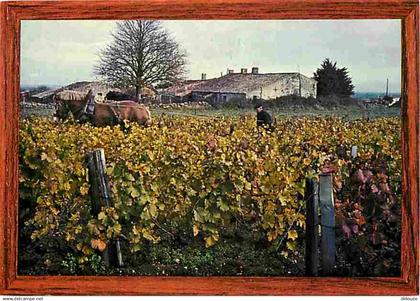 16 - Cognac - Vigne à Cognac - Chevaux - Carte Neuve - CPM - Voir Scans Recto-Verso