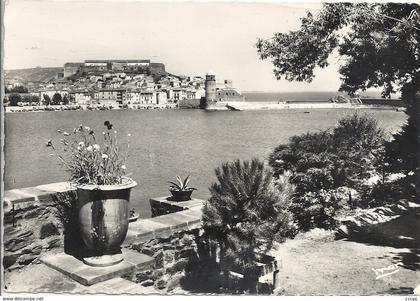 CPM Collioure vue générale