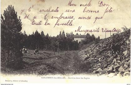 Carte postale ancienne de  COLOMBEY les BELLES