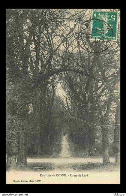 58 - Cosne Cours sur Loire - environs de Cosne - Route de léré - CPA - Voir Scans Recto-Verso