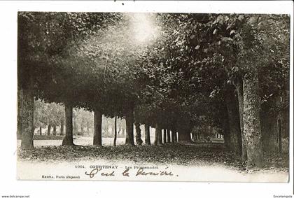 CPA-Carte Postale France-Courtenay-Les Promenades  1903-VM28247