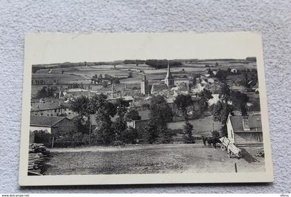 Cpsm, Craponne sur Arzon, vue générale, haute Loire 43