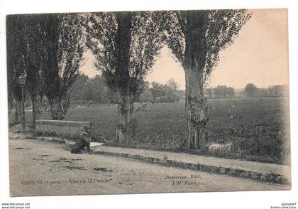 CROSNE / CROSNES (91) - VUE SUR LA PRAIRIE - CHIEN