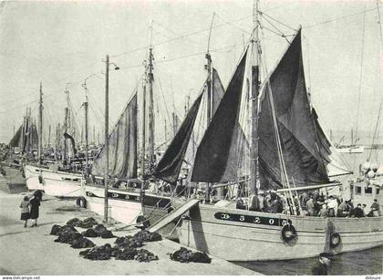 Reproduction CPA - 29 Douarnenez - Le port de Douarnenez -1954 - Les malamoks à quai - Bateaux - CPM - Voir Scans Recto-