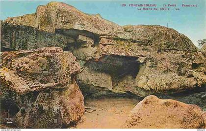 77 - Fontainebleau - Forêt de Fontainebleau - CPA - Voir Scans Recto-Verso