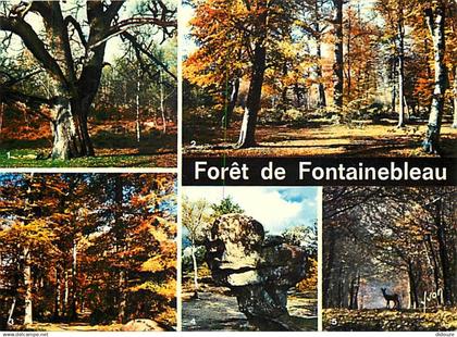 77 - Fontainebleau - Forêt de Fontainebleau - Multivues - CPM - Voir Scans Recto-Verso