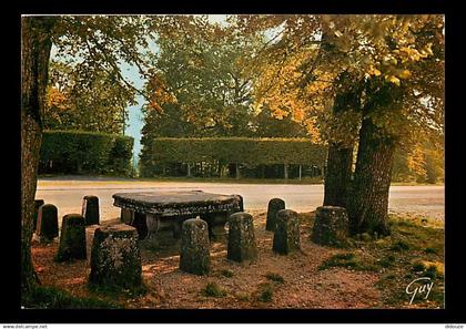 77 - Fontainebleau - Forêt de Fontainebleau - Sur la route de Melun  la Table du Roi - Flamme Postale de Fontainebleau -