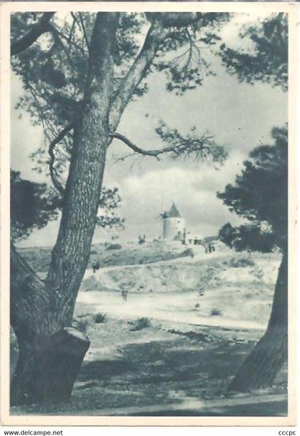 CPSM Le Moulin de Daudet à Fontvieille