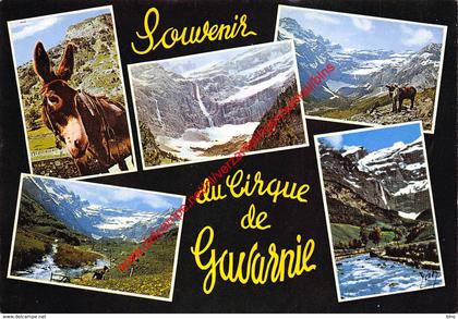 Souvenir du Cirque de Gavarnie - Gavarnie - (65) Hautes Pyrénées