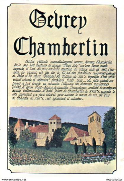 Gevrey Chambertin (21)