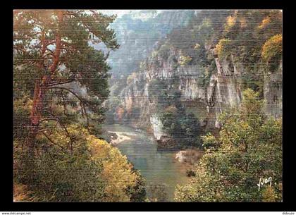 48 - Les Gorges du Tarn - Dans les Gorges - CPM - Voir Scans Recto-Verso