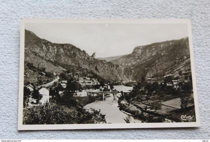 Cpsm, gorges du Tarn, les vignes, Lozère 48