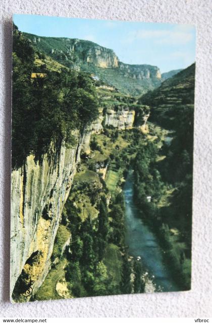 D582, Gorges du Tarn, gorges de la Jonte, les terrasses du Truel, Lozère 48