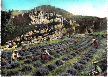 Carte Postale ancienne de GOURDON