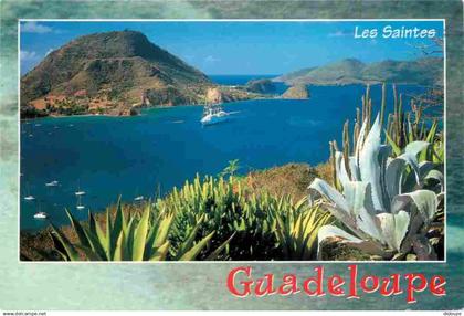 Guadeloupe - Les Saintes - Baie des Saintes - CPM - Voir Scans Recto-Verso