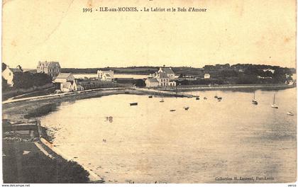 Carte Postale ancienne de ILE aux MOINES