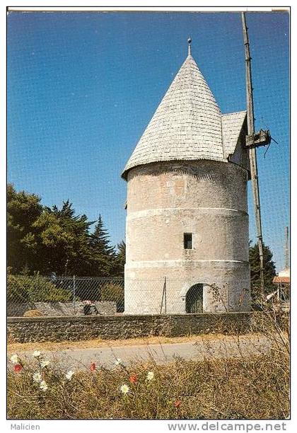 CHARENTE MARITIME- ile d oleron- ref 1719-  la bree - moulin a vent de la bree -cpsm grand format  -carte bon etat -