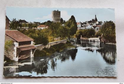 Cpsm 1963, Issoudun, les bords de la Théols, Indre 36