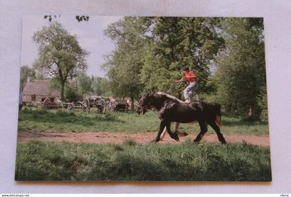 Cpm, Juvigny sous Andaine, la Michaudière, ferme du cheval de trait, Orne 61