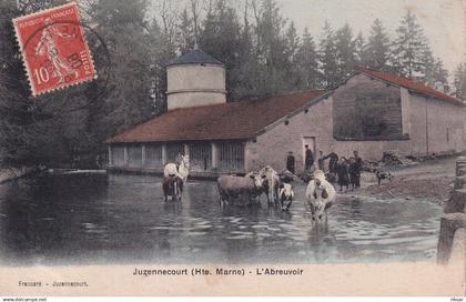 JUZENNECOURT(ABREUVOIR) VACHE