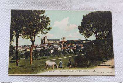 la Chaise Dieu, vue prise de la route de Paulhaguet, Haute Loire 43