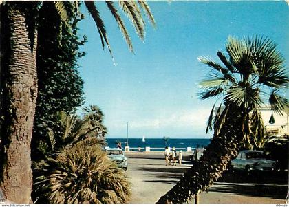 13 - La Ciotat - Allée Lumière - Perspective sur la Mer - Automobiles - Flamme Postale de La Ciotat - CPM - Voir Scans R