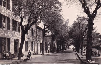 LA GARDE FREINET(ARBRE) AUTOMOBILE