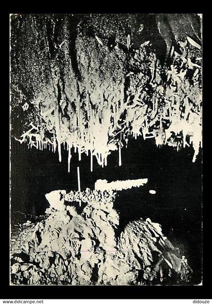 46 - Lacave - Grottes de Lacave - Excentriques en lumière noire - Spéléologie - Carte dentelée - CPSM grand format - Voi