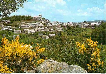 12 - Laguiole - Vue Générale - CPM - Voir Scans Recto-Verso