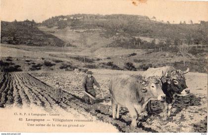 LANGOGNE UNE SCENE DE LA VIE AU GRAND AIR