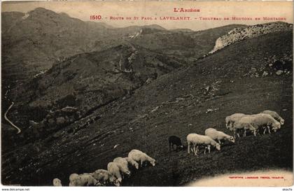 CPA Lavelanet- Troupeau de Moutons en Montagne FRANCE (1040314)