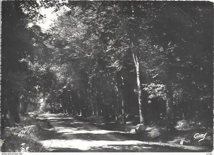 CPSM Le Pouldu La Forêt de Carnoët