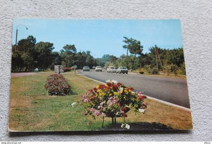 Cpm 1974, le Touquet, l'entrée fleurie du Touquet, Pas de Calais