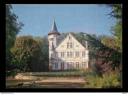 86 - Lencloitre - Le Château Picol - CPM - Carte Neuve - Voir Scans Recto-Verso