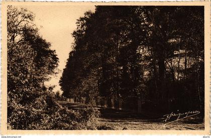 CPA LES ESSARTS-le-ROI Saint-Hubert-le-Roi - Road Scene (1386061)