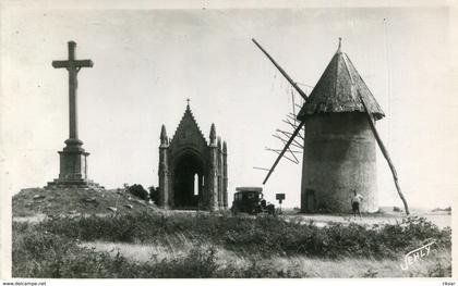 LES HERBIERS(MOULIN)