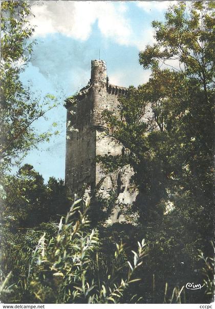 CPSM Lesparre-Médoc La Tour de l'Honneur