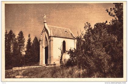 Carte Postale Ancienne de LIFFOL le GRAND