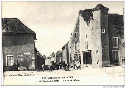 Carte Postale Ancienne de LIFFOL le GRAND