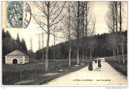 Carte Postale Ancienne de LIFFOL le GRAND