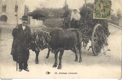 CPA Attelage Limousin