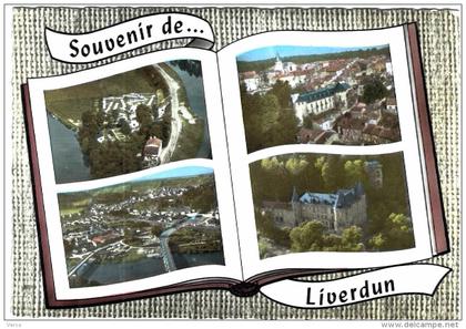 Carte Postale Ancienne de LIVERDUN