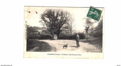 Carte POSTALE Ancienne de LUSIGNAN