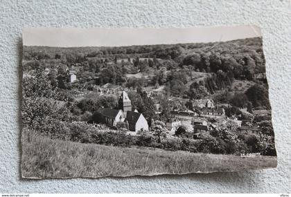 Cpsm 1959, Lyons la Forêt, vue générale, Eure 27