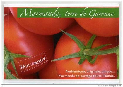 MARMANDE , TERRE DE GARONNE. CARTE POSTALE RENFERMANT DES GRAINES DE TOMATES DE MARMANDE.