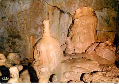 48 - Meyrueis - Grotte de Dargilan - Spéléologie - CPM - Voir Scans Recto-Verso