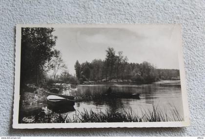 Cpsm 1955, environs de Cheny, Migennes, l'Yonne et l'Armançon, Yonne 89