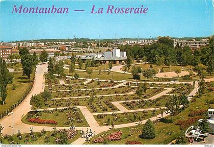 82 - Montauban - Roseraie du Parc Chambord - Fleurs - Flamme Postale de Montauban - CPM - Voir Scans Recto-Verso